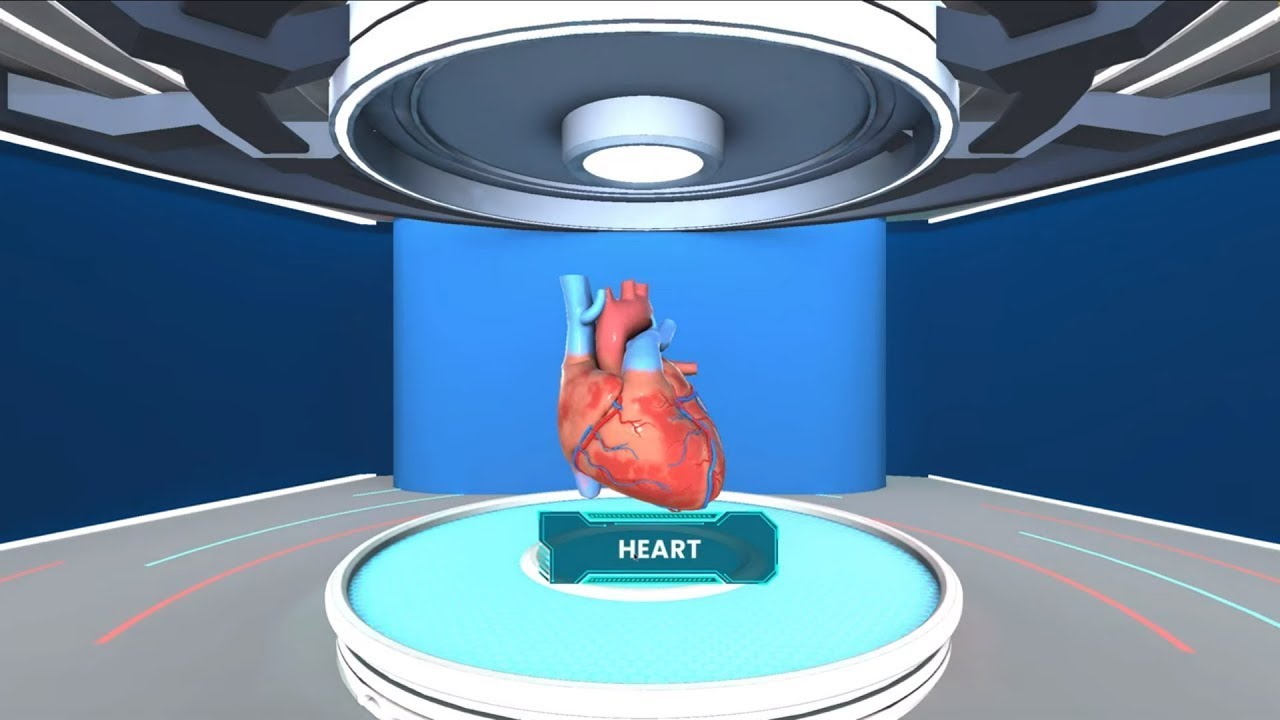 Heart -VR